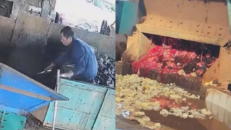 Worker Gets Caught By Rubber Mixing Mill, Dies A Horrible Way