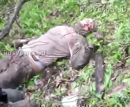 Colombian mercenaries captured near Russian border (2 part)
