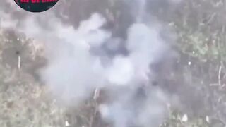 A short compilation of war brutality
