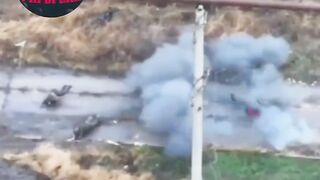A short compilation of war brutality