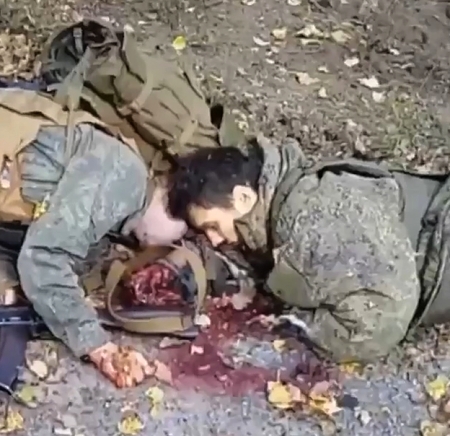A short compilation of war brutality