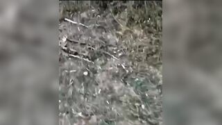 Destruction of the UA group, which included a woman