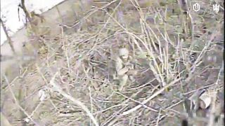The Ukrainian 414th UAS Brigade Magyar's Birds.Episode 42.