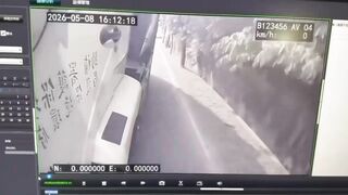 Housewife Hit and Killed by Speeding Car Overtaking on Shoulder While Dumping Garbage