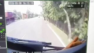 Housewife Hit and Killed by Speeding Car Overtaking on Shoulder While Dumping Garbage