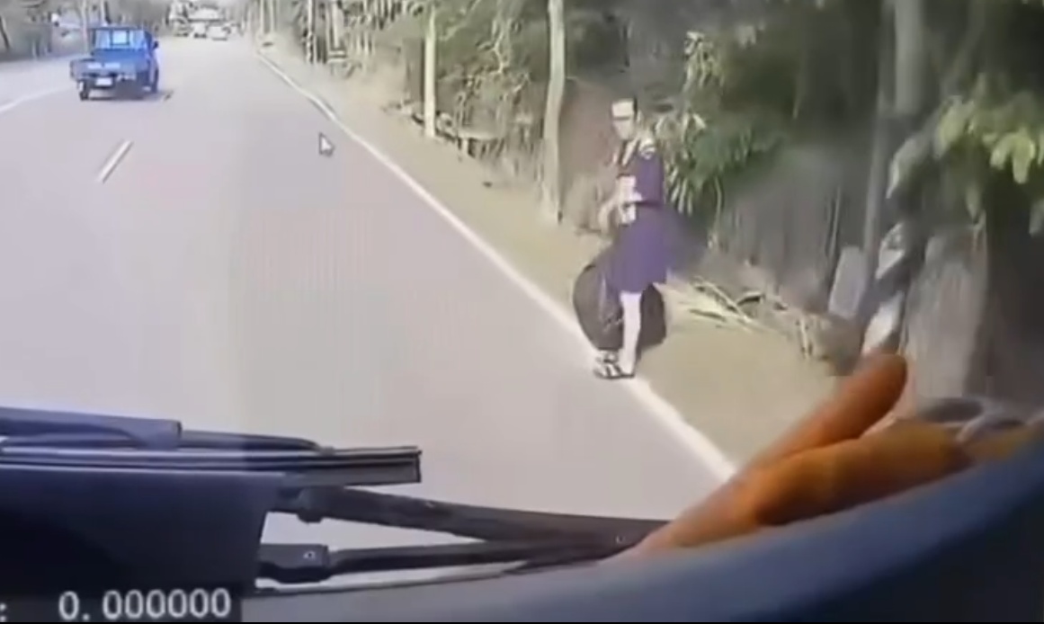 Housewife Hit and Killed by Speeding Car Overtaking on Shoulder While Dumping Garbage