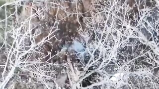 UA REG TEAM in fierce combat action