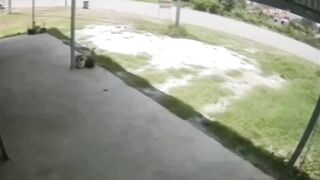 Tire race (compilation)