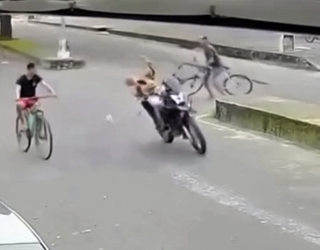 In Mexico, a biker was killed by a cyclist