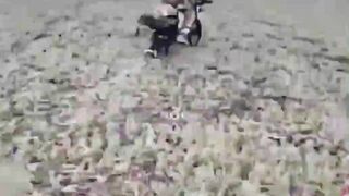 UA drones destroyed 122 Orcs in Pokrovska, Donetsk region