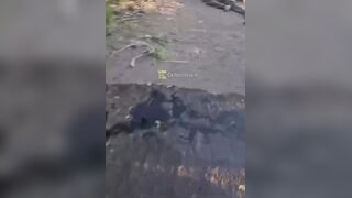 Another group of Orcs didn't make it to the victory parade