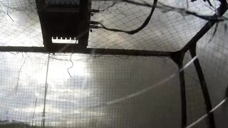"Hornet" drone eliminates 2 Orcs and their car