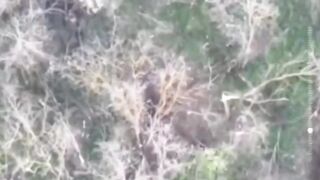 Footage of the destruction of a group of South American mercenaries