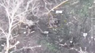 Footage of the destruction of a group of South American mercenaries