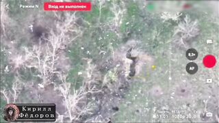 3 Colombian macaques fucked by artillery + Document/ID