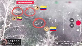 3 Colombian macaques fucked by artillery + Document/ID