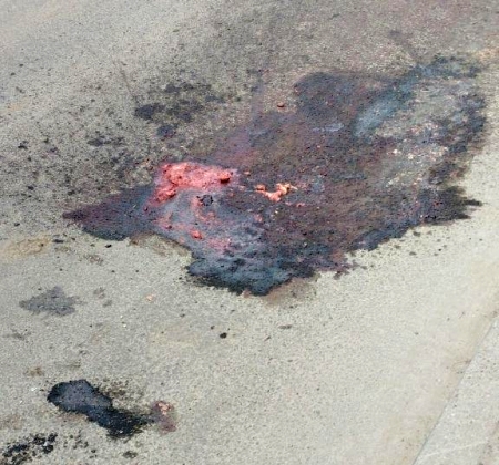 Shocking: Garbage truck rips off 88-year-old woman’s head