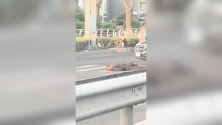 Victim Of Hit And Run Gets Finished Off By Mercedes