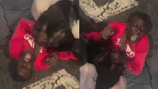 Black Man Messed With A Wrong Dog Owners
