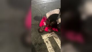 Black Man Messed With A Wrong Dog Owners
