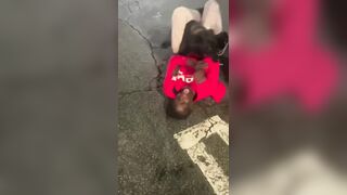 Black Man Messed With A Wrong Dog Owners