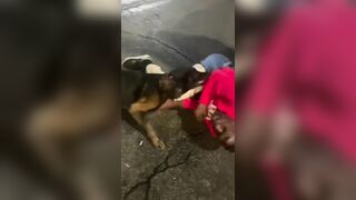 Black Man Messed With A Wrong Dog Owners