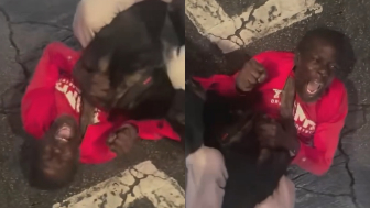 Black Man Messed With A Wrong Dog Owners