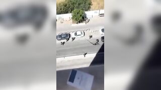 Terrorist Opens Fire On Border Police Officers In Israel, Eliminated