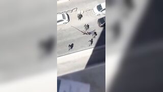 Terrorist Opens Fire On Border Police Officers In Israel, Eliminated