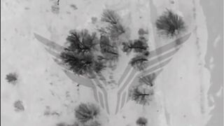 Tunguska destroyed by Rubicon.