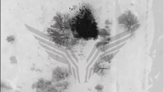 Tunguska destroyed by Rubicon.