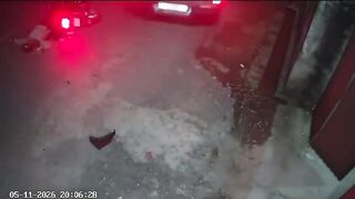 Fuck It, I'm Leaving!