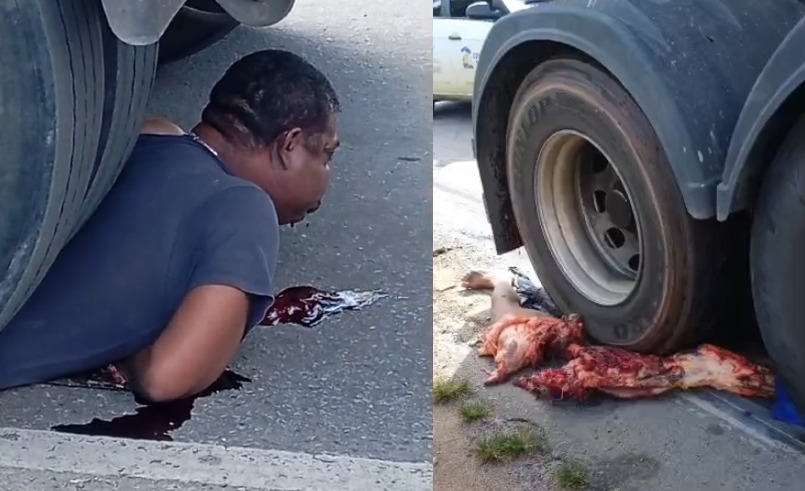 Motorcyclist Completely Annihilated by Truck in Horrific Crash