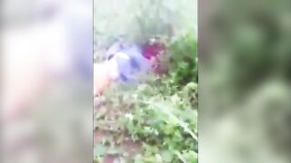 Classic Venezuelan Overkill