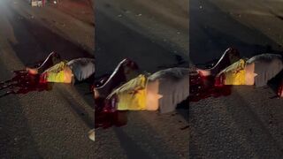 SHOCKING ACCIDENT WITH OLD MAN