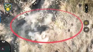 Global Whore Ukraine War Pest Removal Compilation 071224