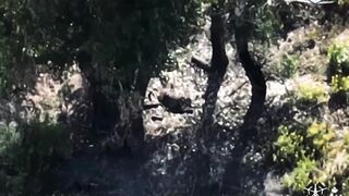 Global Whore Ukraine War Pest Removal Compilation 071224