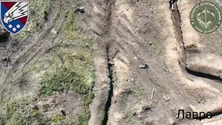 Global Whore Ukraine War Pest Removal Compilation 071224