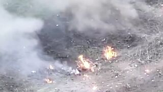 Global Whore | Ukraine War Compilation |  Spring  05122026