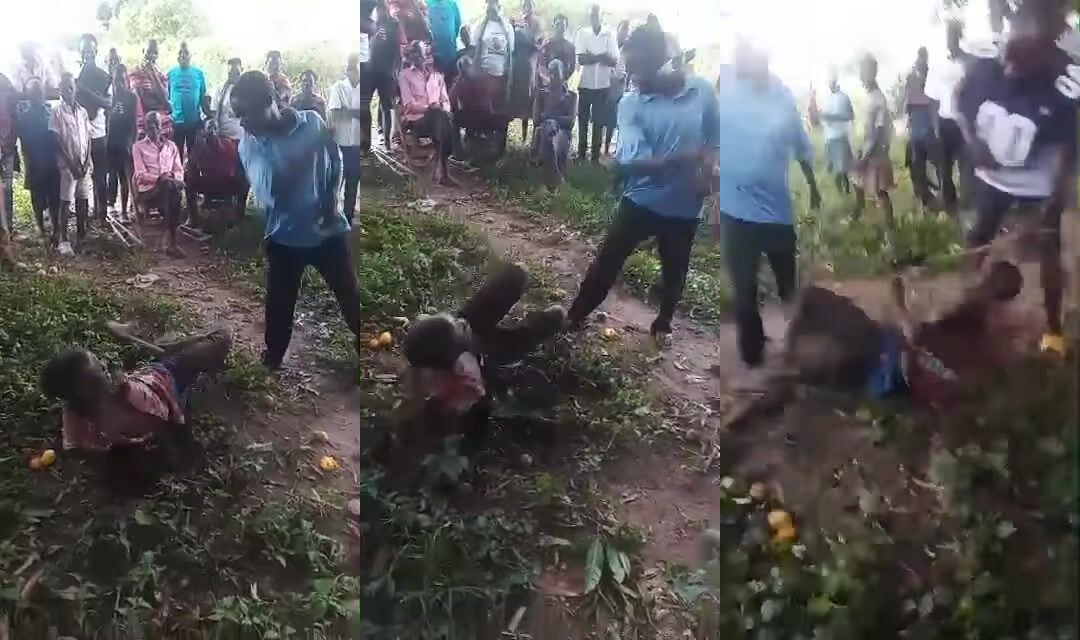 Man punished for inappropriate act with a cow