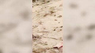 Man Drowns In Front Of Wife After Visiting A Temple