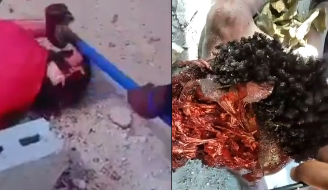 They Smashed His Skull with a Sledgehammer Then Finished Him with Machetes