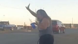Female Judge Succumbs to Bee Swarm Attack in Mexico
