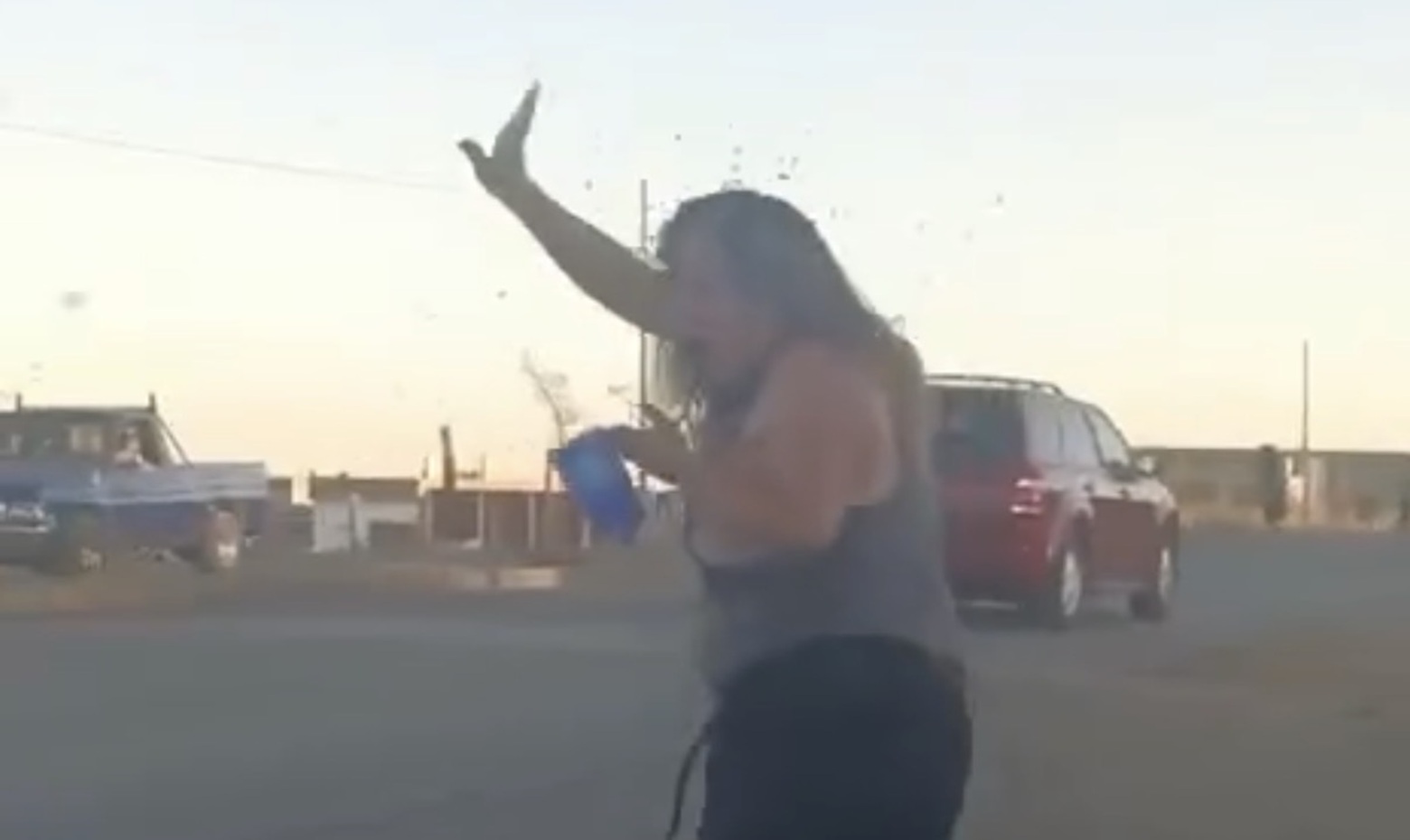 Female Judge Succumbs to Bee Swarm Attack in Mexico