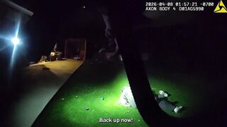 Suspect Shot and Killed by Deputies After Stabbing Call in Escondido