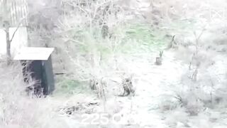 UKRAINE DEATH COMP CLIII