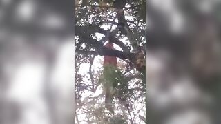 Hide-And-Seek Is Different In India