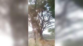 Hide-And-Seek Is Different In India