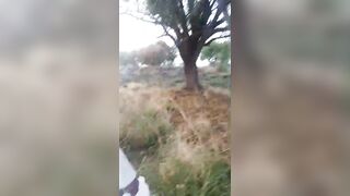 Hide-And-Seek Is Different In India