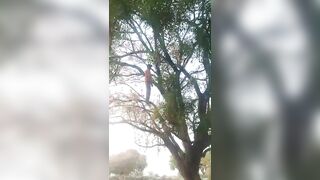 Hide-And-Seek Is Different In India